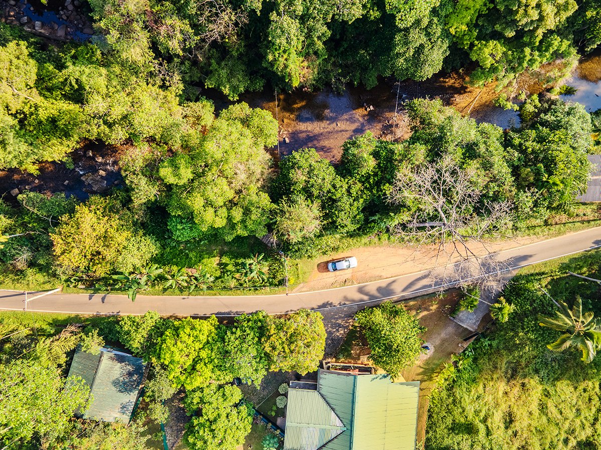 Blue Magpie Lodge Sinharaja 1
