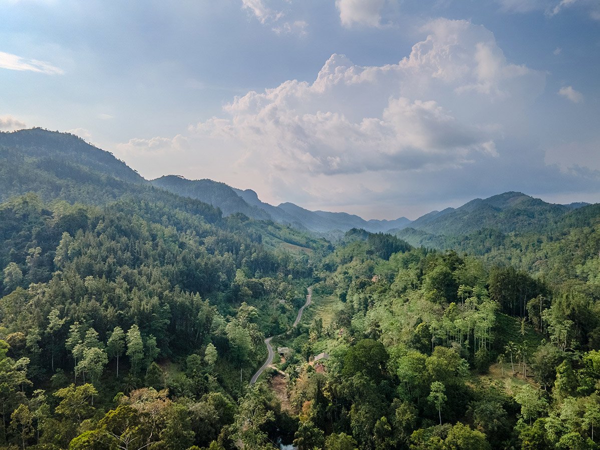 Blue Magpie Lodge Sinharaja 2